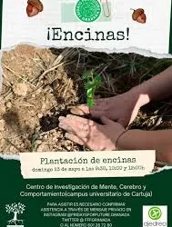Reforestación en Granada con Operación Encina y Friday for Future
